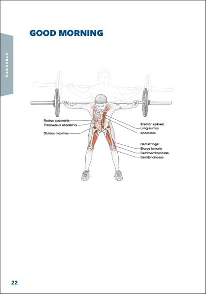 Hockey Anatomy