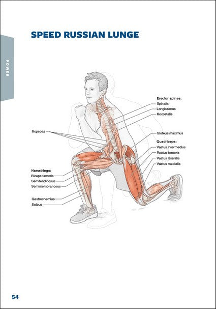 Hockey Anatomy