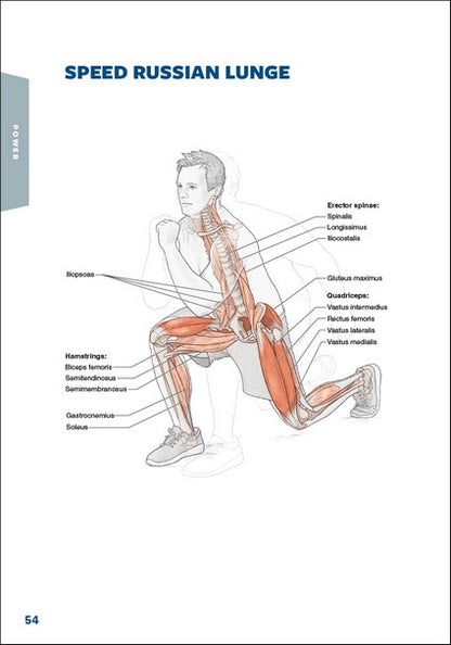 Hockey Anatomy