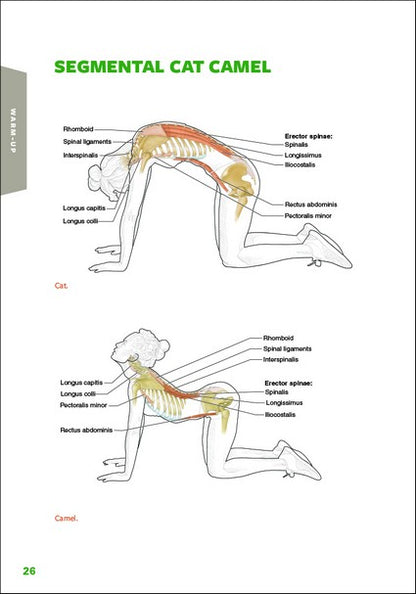 Golf Anatomy 2/e