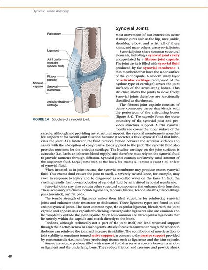 Dynamic Human Anatomy 2/e