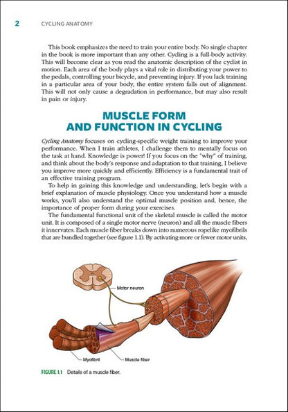 Cycling Anatomy 2/e
