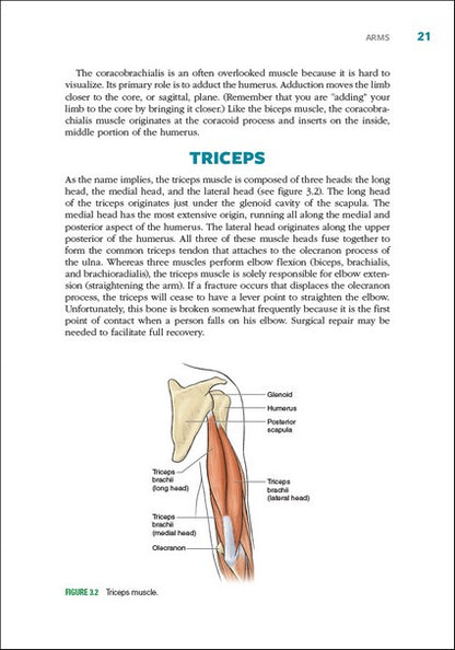 Cycling Anatomy 2/e