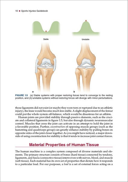 Sports Injuries Guidebook 2/e