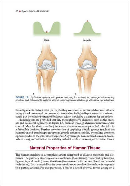 Sports Injuries Guidebook 2/e