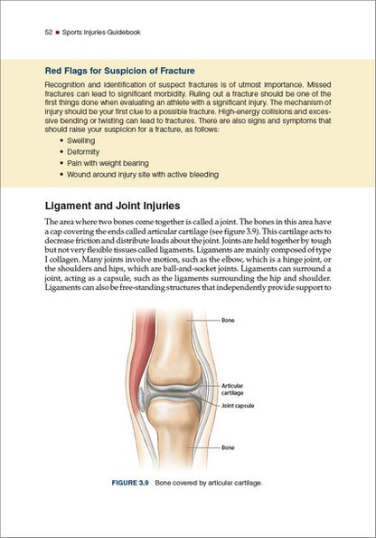 Sports Injuries Guidebook 2/e