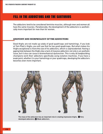 The Strength Training Anatomy Workout III