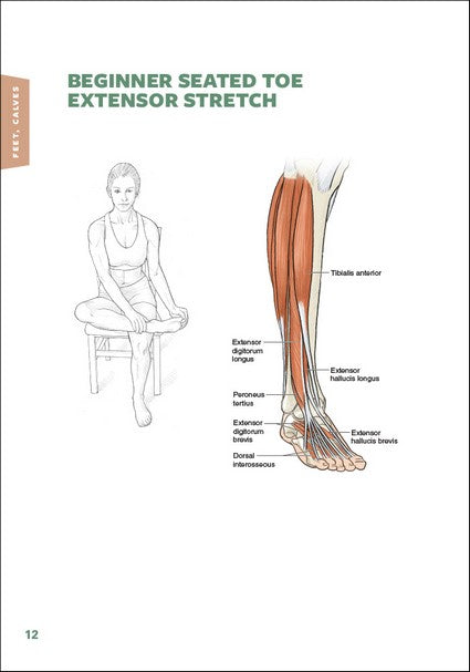 Stretching Anatomy 3/e