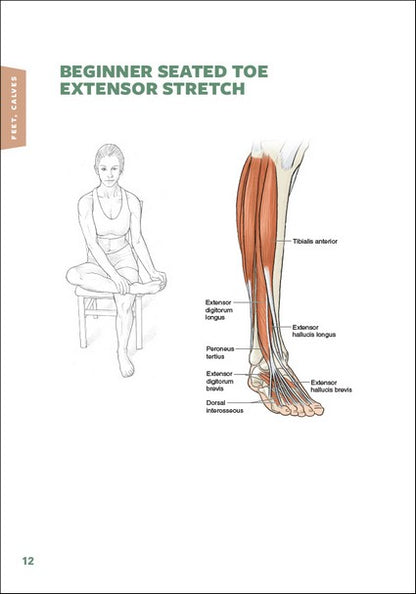 Stretching Anatomy 3/e