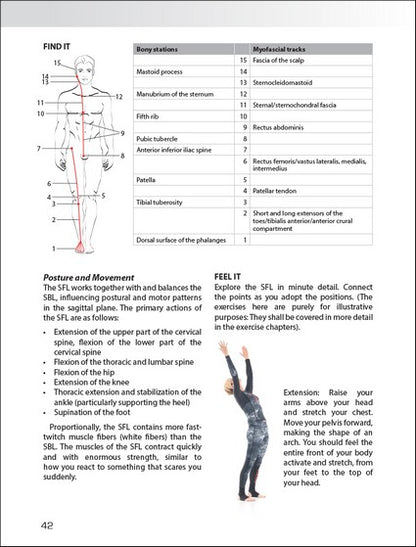 Myofascial Training