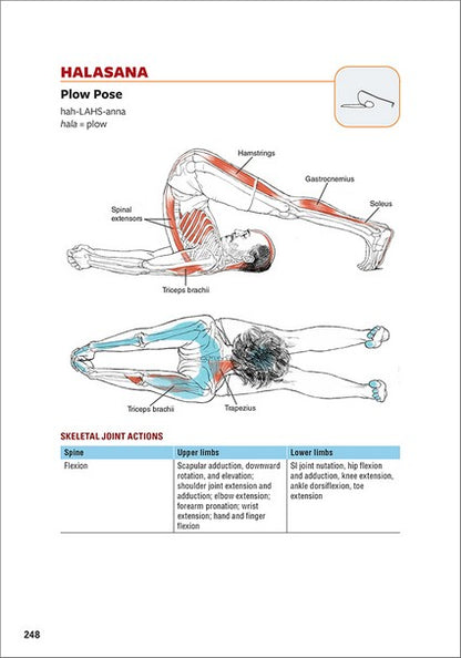 Yoga Anatomy 3/e