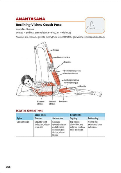 Yoga Anatomy 3/e