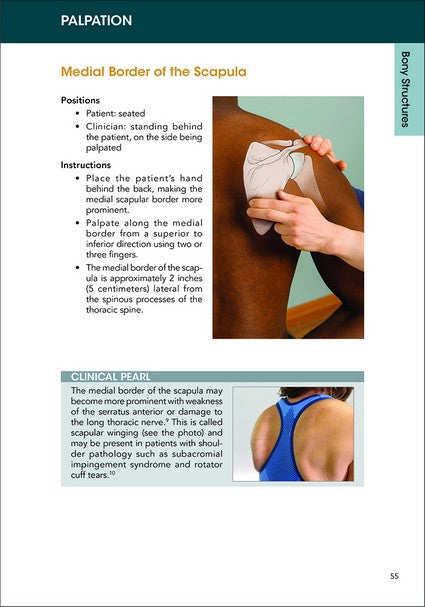 A Clinical Guide to Surface Palpation 2/e