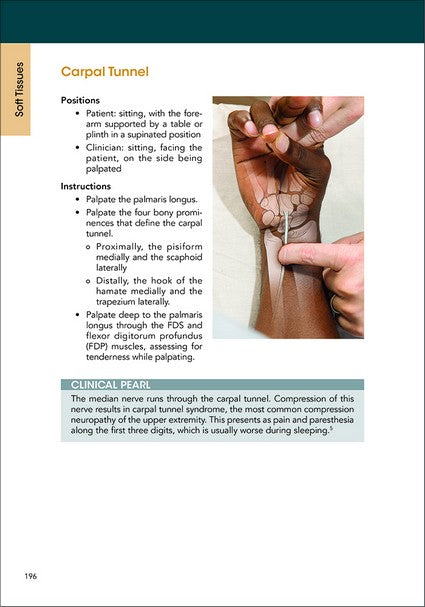 A Clinical Guide to Surface Palpation 2/e
