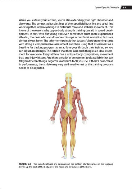 The Anatomy of Speed