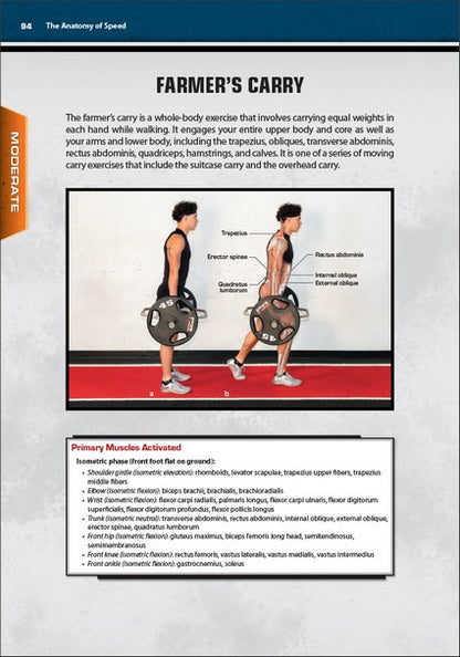 The Anatomy of Speed