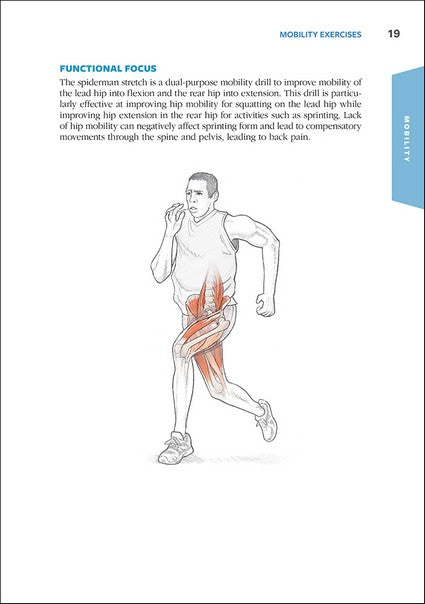 Functional Training Anatomy