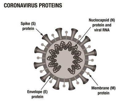 The Prepper's Guide to Surviving Pandemics, Bioterrorism, and Infectious Disease