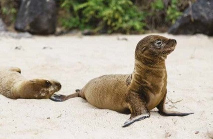 50 Best Adventures on Earth