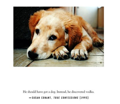 I Love Dogs