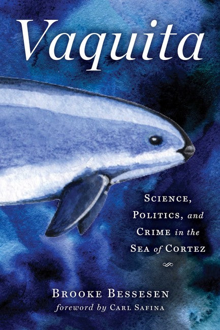 Vaquita