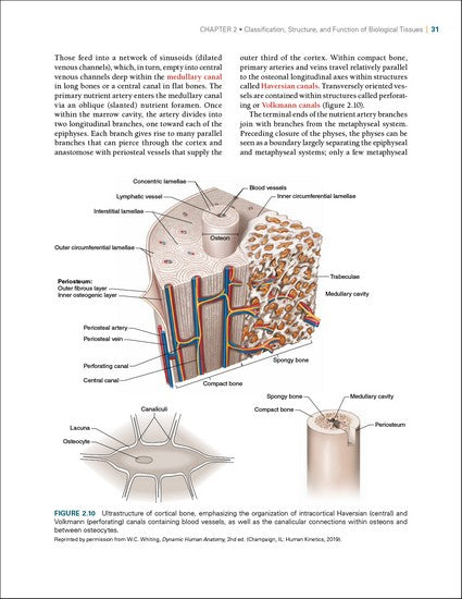 Biomechanics of Injury 3/e