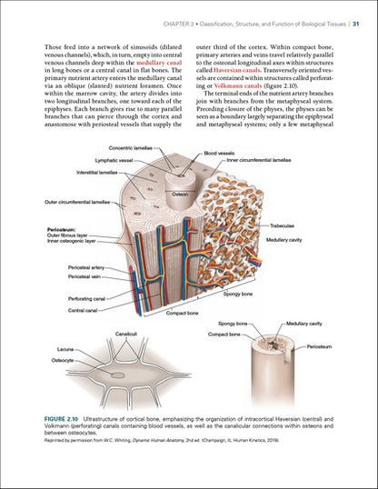 Biomechanics of Injury 3/e