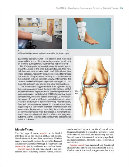 Biomechanics of Injury 3/e