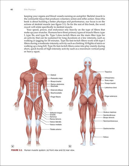Elite Physique