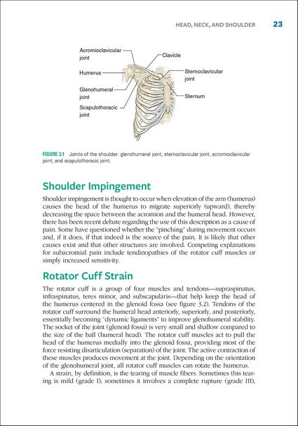 Sport Injury Prevention Anatomy