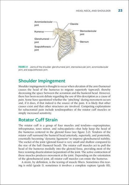 Sport Injury Prevention Anatomy