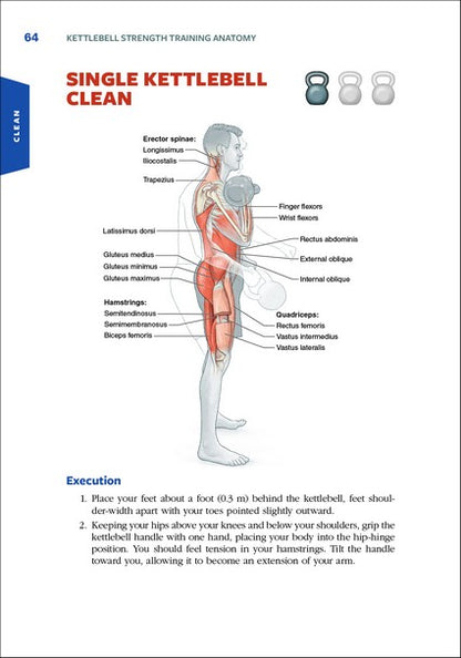 Kettlebell Strength Training Anatomy