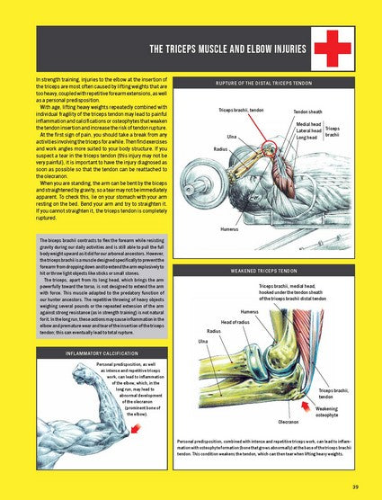 Strength Training Anatomy 4/e