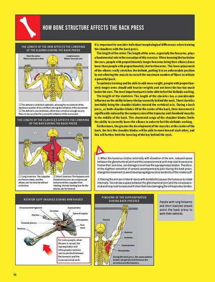 Strength Training Anatomy 4/e