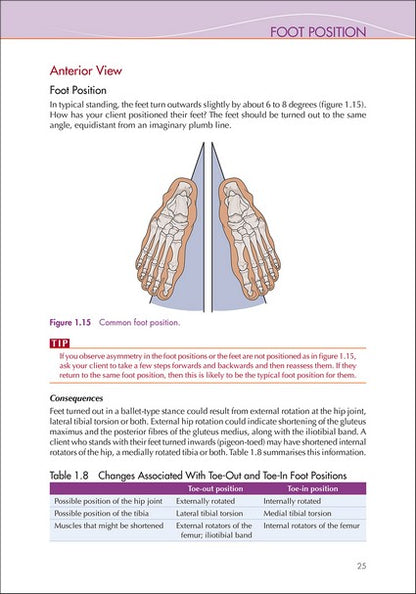 Soft Tissue Therapy for the Lower Limb
