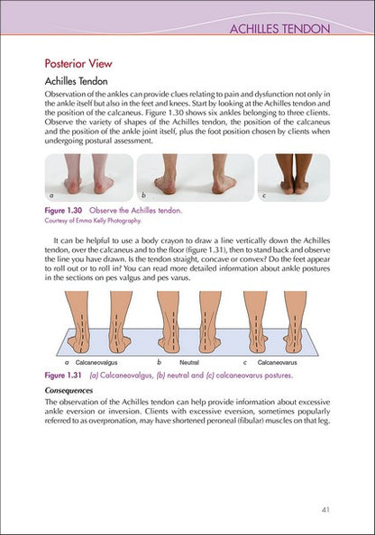 Soft Tissue Therapy for the Lower Limb