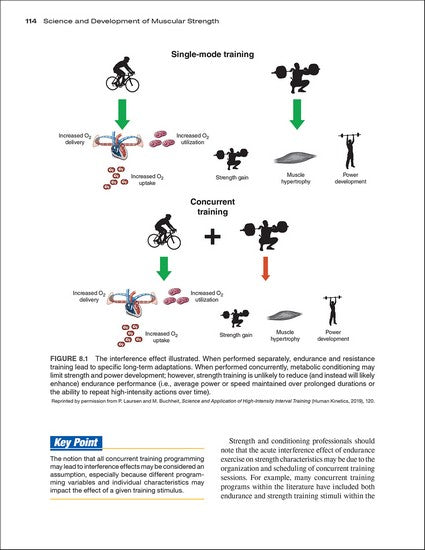 Science and Development of Muscular Strength