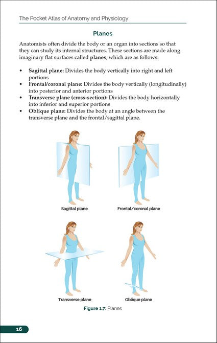 The Pocket Atlas of Anatomy and Physiology