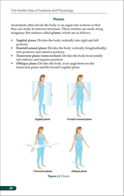The Pocket Atlas of Anatomy and Physiology