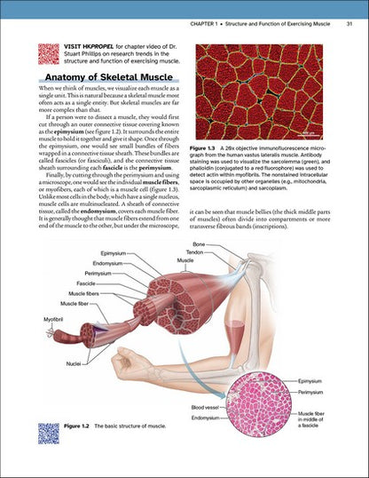 Physiology of Sport and Exercise 9/e
