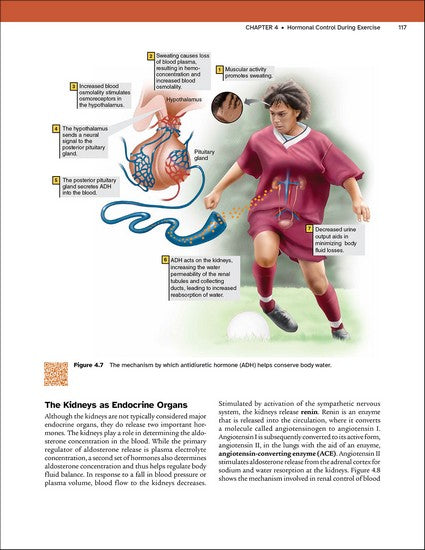 Physiology of Sport and Exercise 9/e