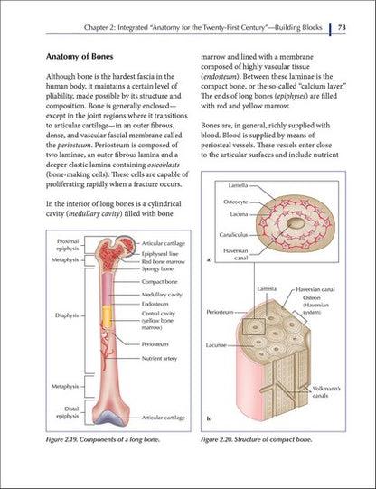 Understanding Fascia, Tensegrity, and Myofascial Trigger Points