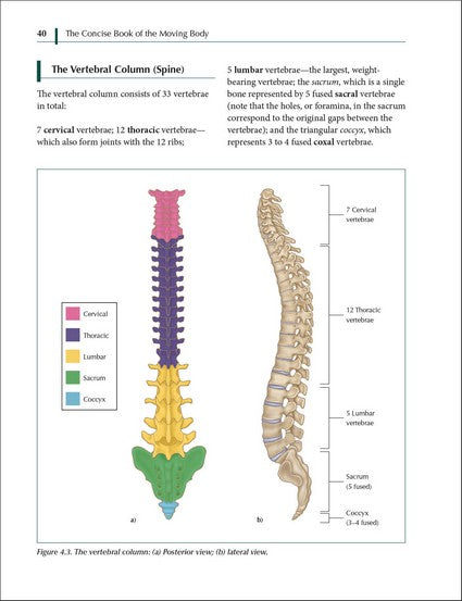 The Concise Book of the Moving Body