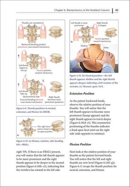 Spinal Manipulations and Mobilization Techniques