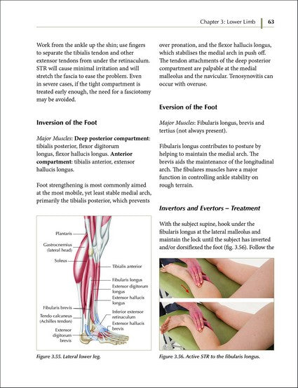 Soft Tissue Release 4/e
