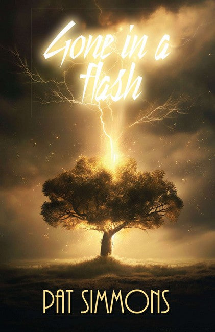 Gone in a Flash