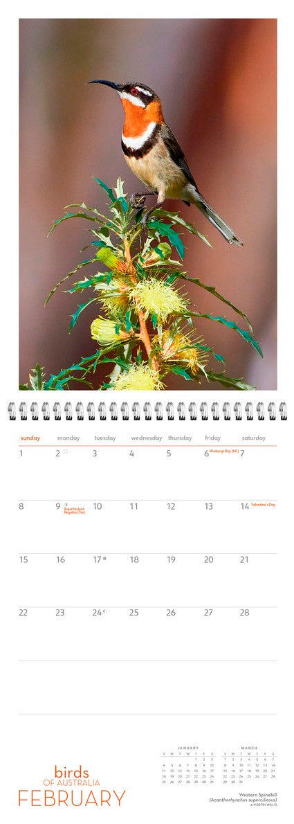 2026 Birds of Australia Wall Calendar