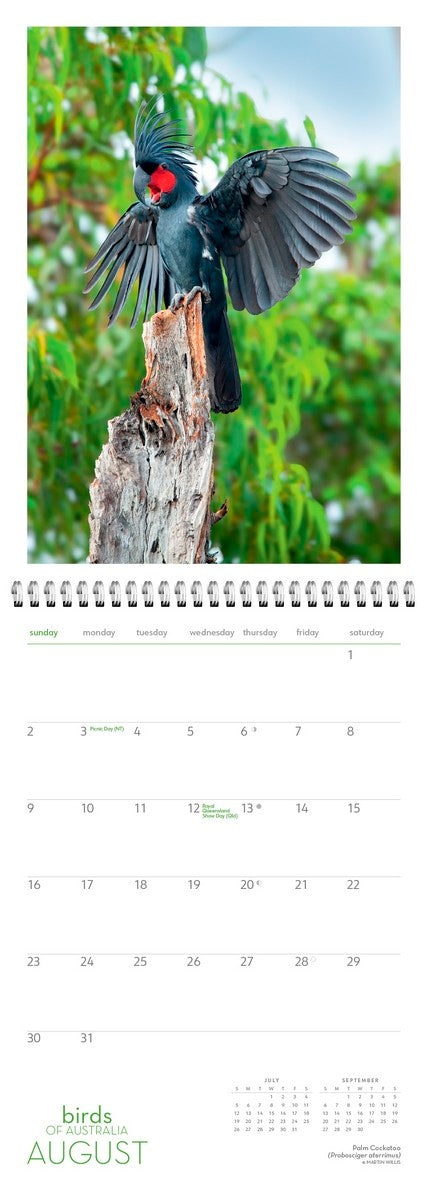 2026 Birds of Australia Wall Calendar