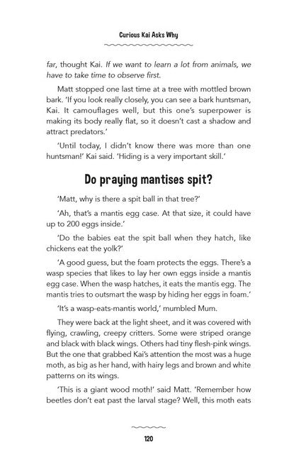 Curious Kai Asks Why