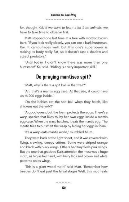 Curious Kai Asks Why